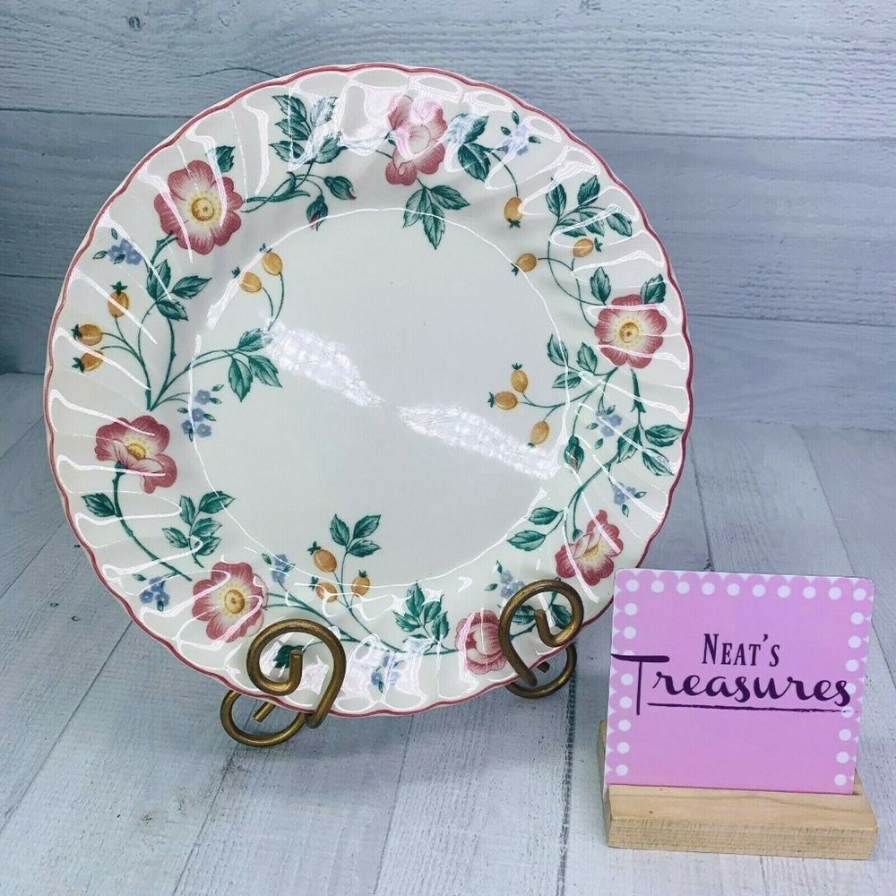 Churchill BRIAR ROSE Pink Purple Yellow Flowers Pink Fine English Dinner Plate